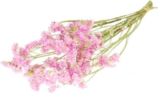 Αποξηραμένο Φυτό Statice Sinuata Natural light pink Fankon Flowers