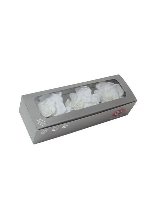 Ewige Rose White in Box 3Stück Fankon Flowers