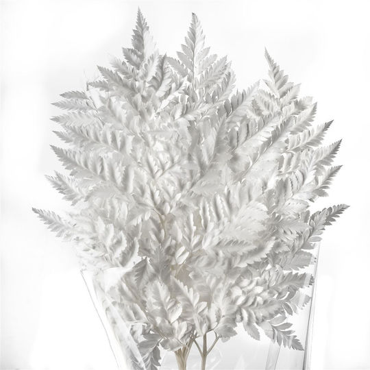 Artificial Decorative Branch Fern Preserved Bleached 5pcs Fankon Flowers