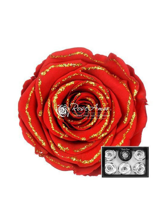 Παντοτινό Τριαντάφυλλο Glitter Gold Red 6τμχ Fa...