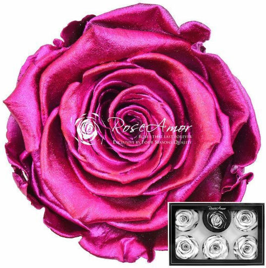 Παντοτινό Τριαντάφυλλο Metallic Silver Pink White 6τμχ Fankon Flowers