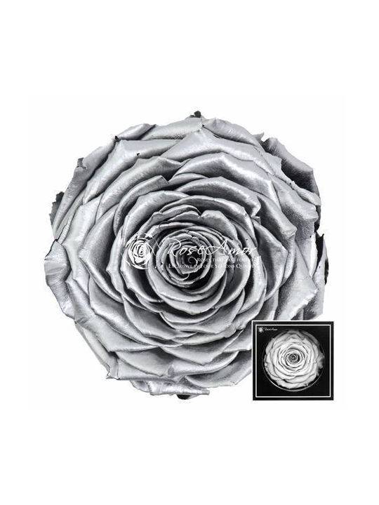 Παντοτινό Τριαντάφυλλο Metallic Silver Fankon F...