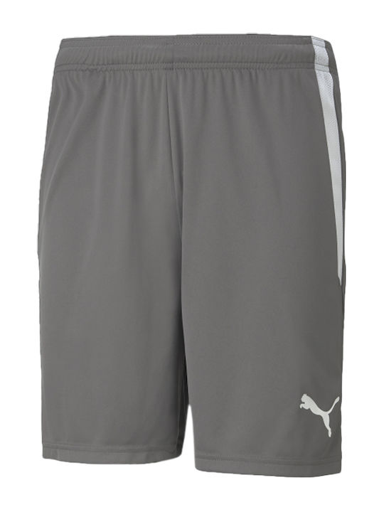 PUMA Teamliga Sportliche Herrenshorts Gray