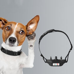 Dog Shock Collar Anti Barking