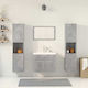 vidaXL Countertop with Sink, Mirror & Column L61xW18xH39cm Grey Concrete