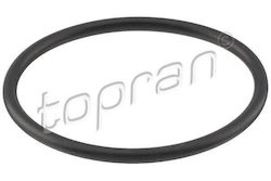 Thermostat Gasket Vag