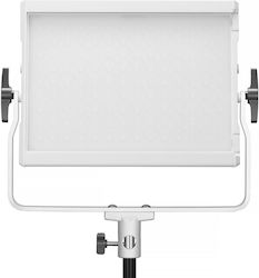 Godox Litemons COB Licht 60W Godox Litemons COB Licht 60W
