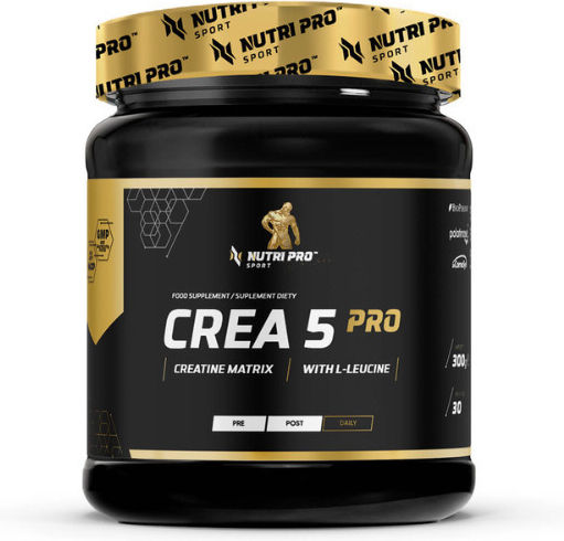 Nutri Pro Sport Crea 5 Pro Creatine Matrix με Γεύση Ρόδι 300gr
