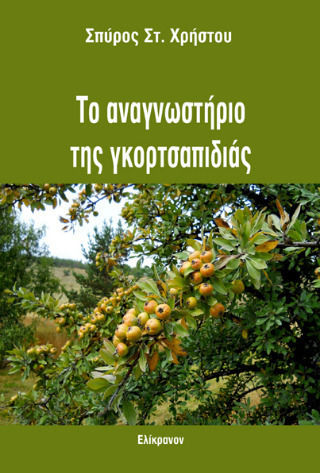 Το Αναγνωστήριο της Γκορτσαπιδιάς