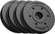 Set of Plates 4 x 1.25kg Ø31mm