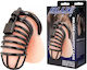 Blue Line Penis Cage in Gray Color