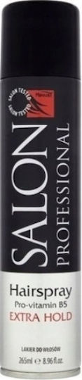Salon Professional Haarspray Für Leichtes Halten 265ml
