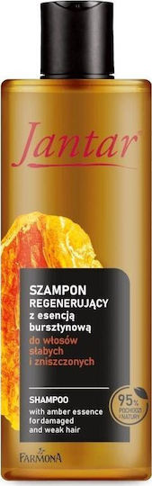 Farmona Shampoos Reconstruction/Nourishment & Shine for Damaged Hair 300ml