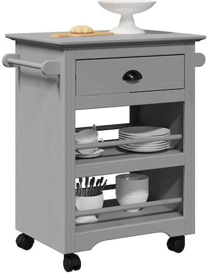 vidaXL Commercial Kitchen Food Cart H80xW67.5xD45cm