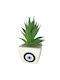 HOMie Artificial Plant in Small Pot White