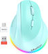 Meetion MT-BTM010R Wireless Ergonomic Mouse Verde