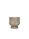 Marhome Planter Concrete Brown 13.8x13.8x13.8cm.