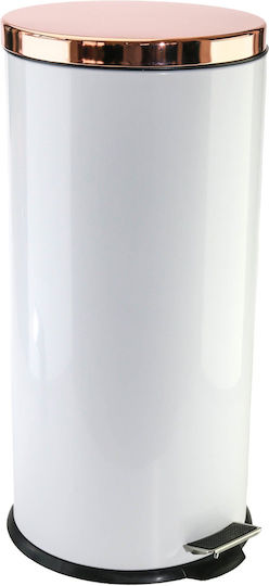 Viosarp Metallic Waste Bin with Pedal Copper 30lt