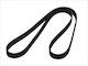Bosch Grooved Drive Belt