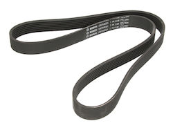 Bosch Grooved Drive Belt Bosch Grooved Drive Belt