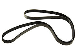 Bosch Grooved Drive Belt Bosch Grooved Drive Belt