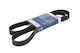 Bosch Grooved Drive Belt
