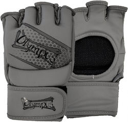 MMA Fight Gloves Olympus Ht Granite