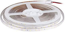 Водоустойчива LED Лента 12V със Неутрално бяло Светлина 5м Водоустойчива LED Лента 12V със Неутрално бяло Светлина 5м