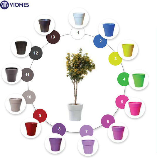Viomes Γλάστρα Πλαστική Μαύρη 30x30εκ.