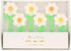 Κεράκια Daisy 6τμχ