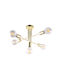 Agora Lighting Deckenleuchte Gold