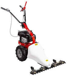 Eurosystems Pe roți Pe benzină Tăietor de iarbă 5hp Eurosystems Pe roți Pe benzină Tăietor de iarbă 5hp