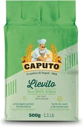 Active Dry Yeast Powder 500g-caputo