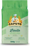 Active Dry Yeast Powder 500g-caputo