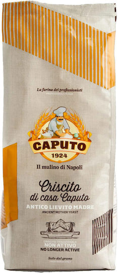 Φυσική Ανενεργή Ξηρή Μαγιά Σκόνη Criscito 1κg-caputo