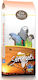 Deli Nature 20 Amazonas Park Serengeti African Grey Parrots 15kg