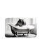 Atmosphera Bath Mat Hippo BM0302 Gray 45x75cm