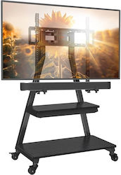 Perlegear 069342 TV-Halterung Boden Bis 80 Zoll Perlegear 069342 TV-Halterung Boden Bis 80 Zoll