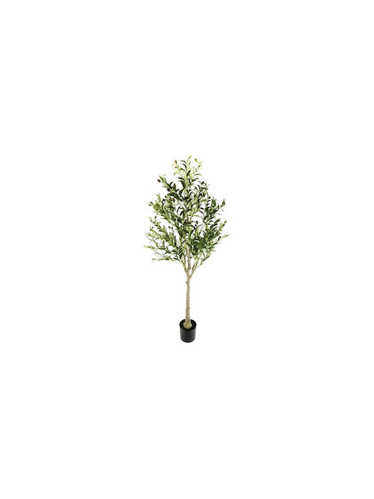 Olive Tree in Pot Φ100xH150cm