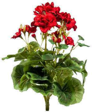 Geranium Bouquet A21316 Red
