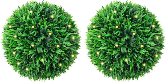 Buxus in Pot 47cm with Led 2 Pieces vidaXL