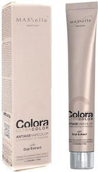 MAXXelle Colora 7.7 Blond Ciocolatiu