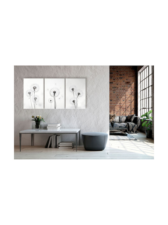 Leinwandbilder Wohnzimmer Modernes Triptychon Schwarz-Weiß 60x120cm
