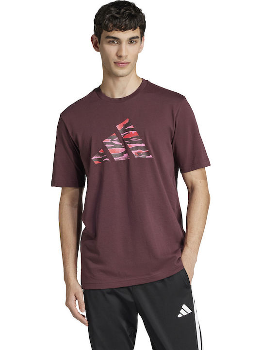 adidas Graphic Tee T-shirt Μπορντω