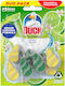 Duck Clean Citrus Block Toilet