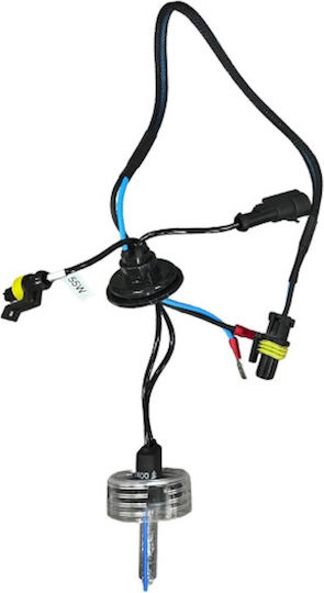 Xenon Set de Iluminare H1 55W 12V 6000K Alb rece