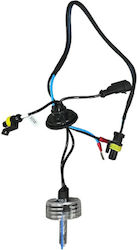 Xenon Set de Iluminare H11 55W 12V 6000K Alb rece Xenon Set de Iluminare H11 55W 12V 6000K Alb rece