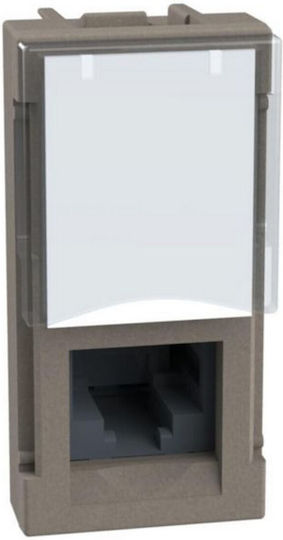 RJ45 Buchse Cat6 UTP 1-fach Stein Licht Jetzt