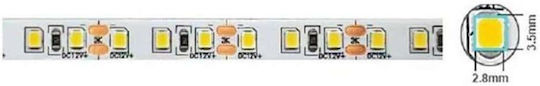 Vito LED Strip 24V Natural White Light 5m Type SMD2835
