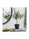 Artekko Olive Artificial Olive Plant Pot 40x30x66 Cm